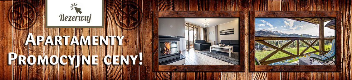https://www.zakopaneapartamenty.net.pl/ostatnia-minuta