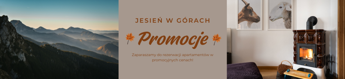 https://www.zakopaneapartamenty.net.pl/ostatnia-minuta