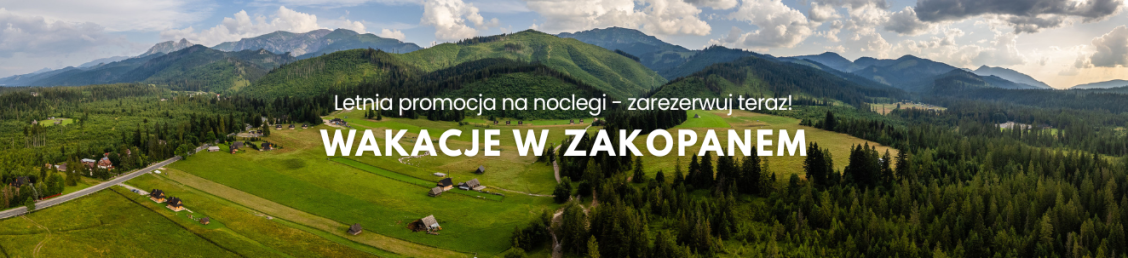 https://www.zakopaneapartamenty.net.pl/ostatnia-minuta