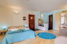 Apartament STUDIO BRZOZOWY
