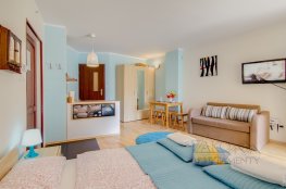 Apartament STUDIO BRZOZOWY