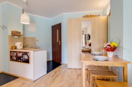 Apartament STUDIO BRZOZOWY