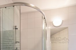 Apartament STUDIO BRZOZOWY