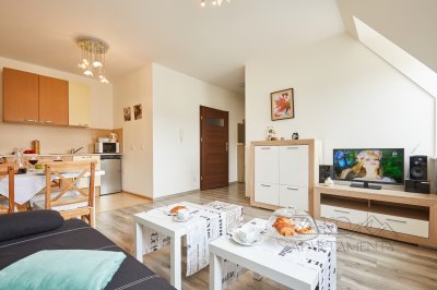 Apartament SAFARI - Oaza