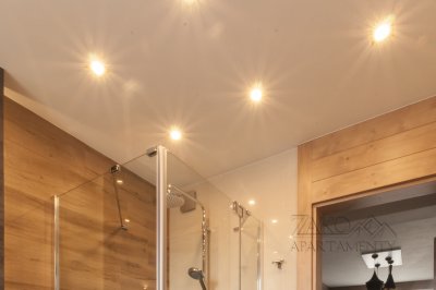 Apartament WYBORNY