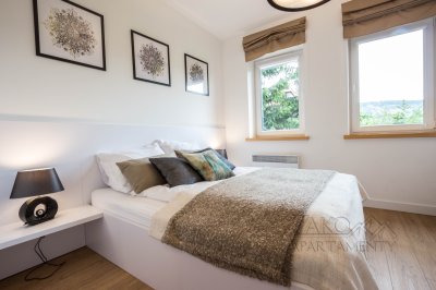 Apartament LAZUROWY