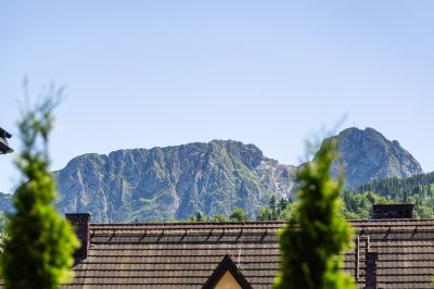 Apartament SOSNOWY