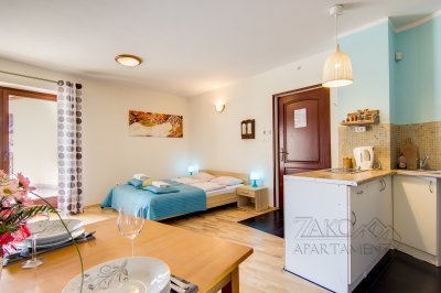 Apartament STUDIO BRZOZOWY