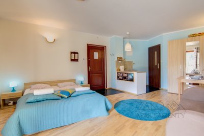 Apartament STUDIO BRZOZOWY