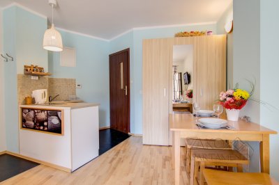 Apartament STUDIO BRZOZOWY