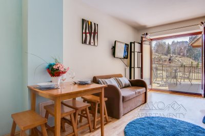 Apartament STUDIO BRZOZOWY