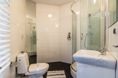 Apartament STUDIO BRZOZOWY