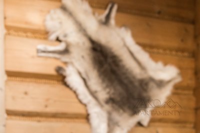 Apartament ROHACZ - Biały Potok