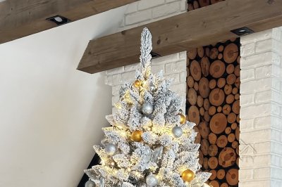 Apartament KARPIELÓWKA A-9 PREMIUM