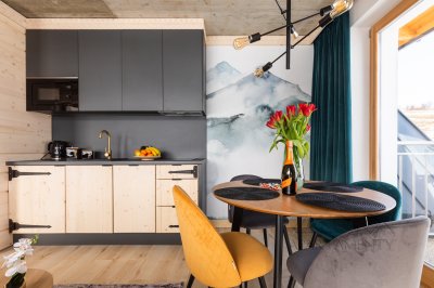 Apartament HANKA z WIDOKIEM 1