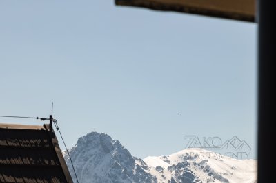 Apartament ALPIN