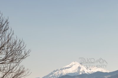 Apartament ALPIN