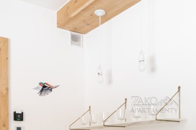 Apartament FRANKA 03