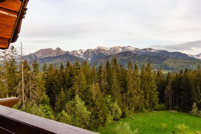 Apartament KROKUSOWY