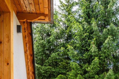 Apartament MIKOŁAJ 6
