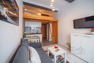 Apartament GÓRSKA OSTOJA