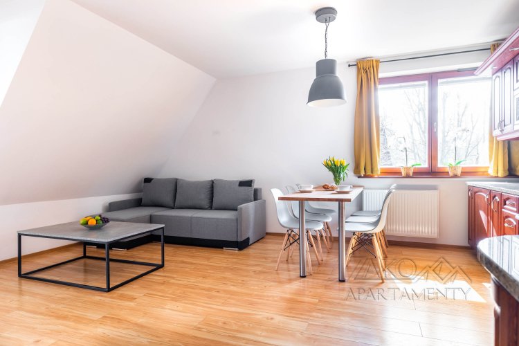 Apartament Pod SKOCZNIĄ